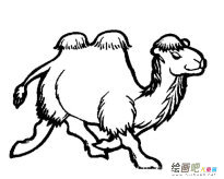 /jianbihua/dongwujianbi/31287.html