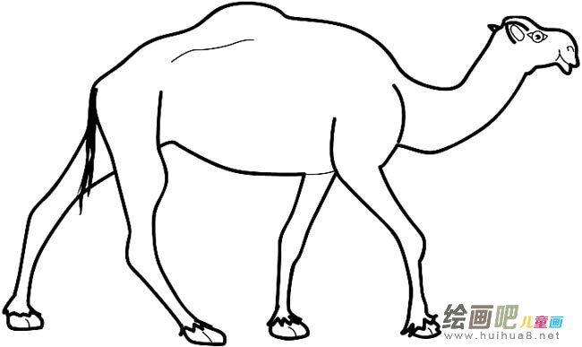 骆驼动物简笔画步骤图片大全