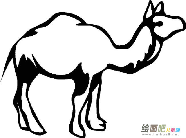 骆驼动物简笔画步骤图片大全二
