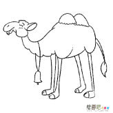 /jianbihua/dongwujianbi/31278.html