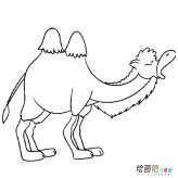 /jianbihua/dongwujianbi/31220.html