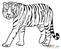 /jianbihua/dongwujianbi/31175.html