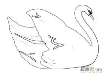 /jianbihua/dongwujianbi/31193.html