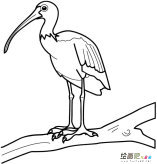 /jianbihua/dongwujianbi/31178.html