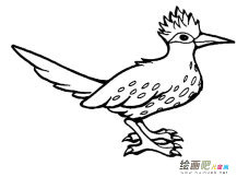 /jianbihua/dongwujianbi/31181.html