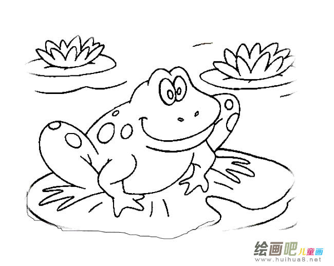 青蛙动物简笔画步骤图片大全