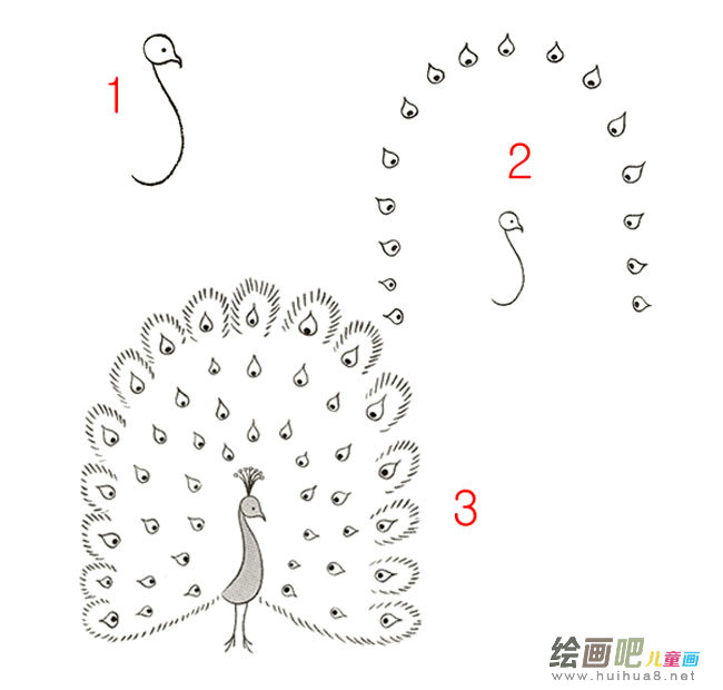 孔雀简笔画图片大全