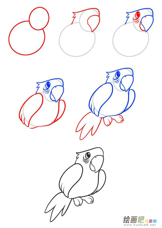 鹦鹉简笔画图片大全