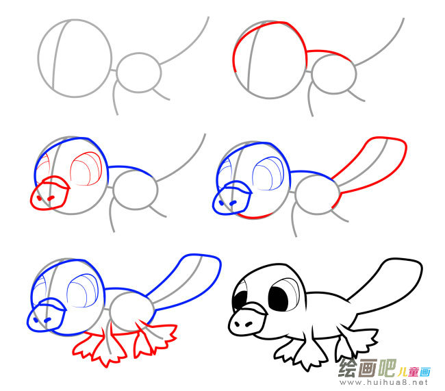 鸭嘴兽简笔画图片大全