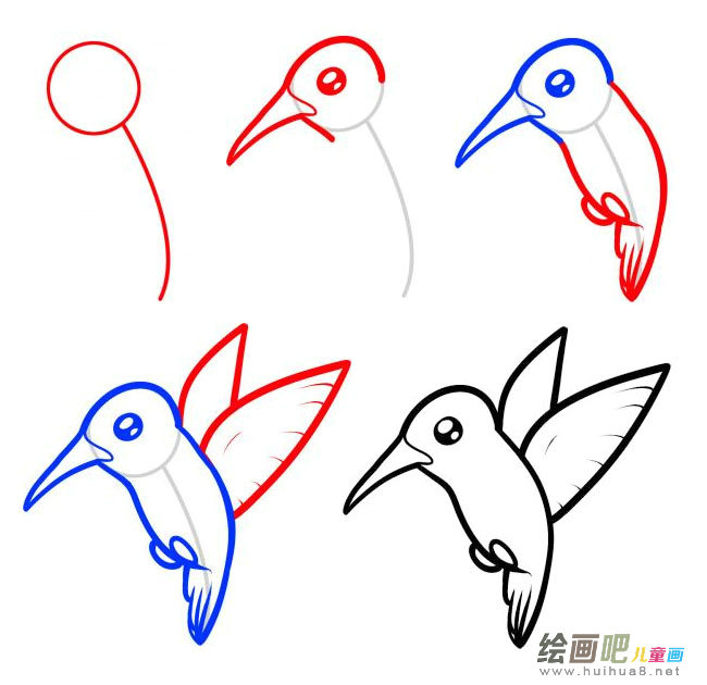 蜂鸟简笔画图片大全