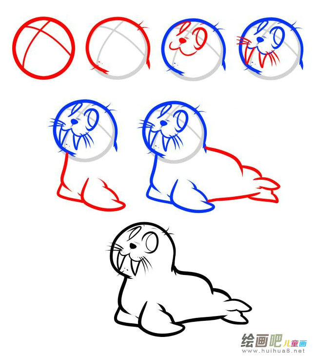 小海豹简笔画图片大全