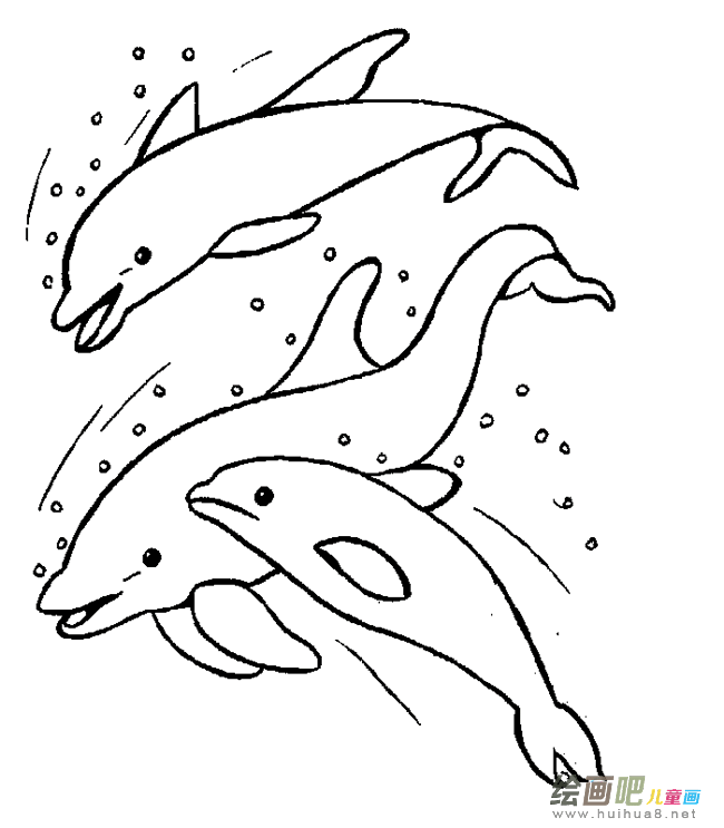 海豚简笔画图片大全大图