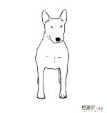 /jianbihua/dongwujianbi/28142.html