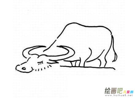 水牛简笔画图片