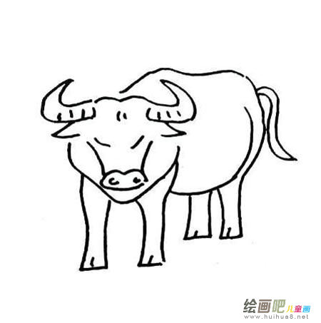 水牛简笔画图片