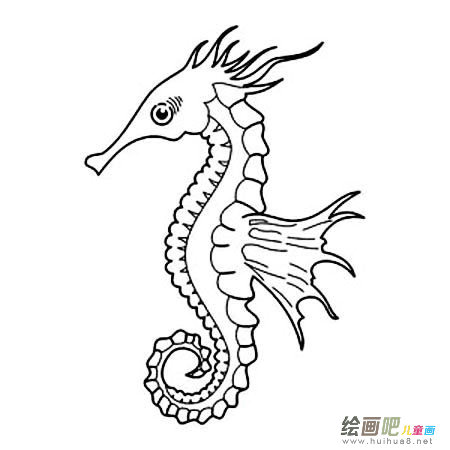 海马简笔画图片