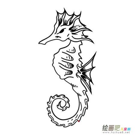 海马简笔画图片