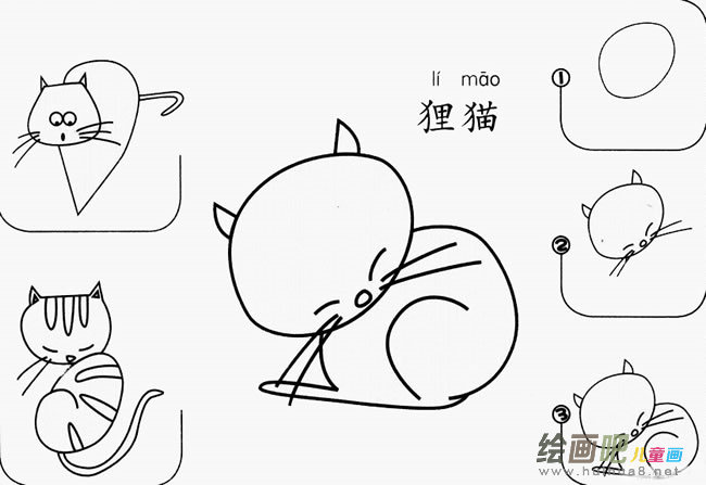 狸猫怎么画简笔画图片