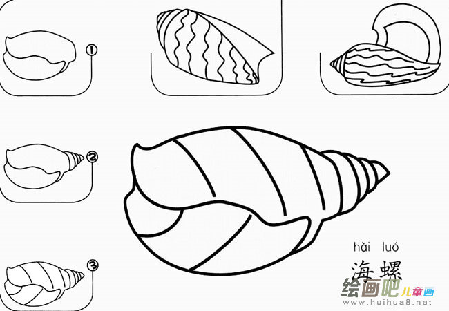 儿童画海螺怎么画简笔画图片