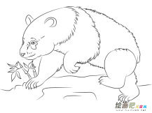 /jianbihua/dongwujianbi/27823.html