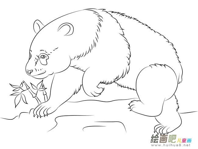 找竹子的大熊猫简笔画图片