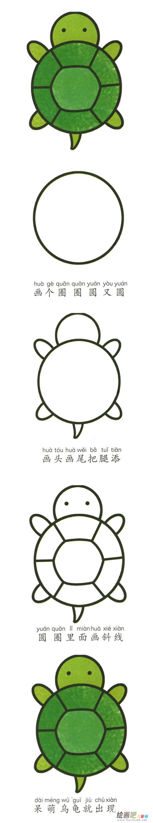 简单的动物乌龟简笔画图片大全