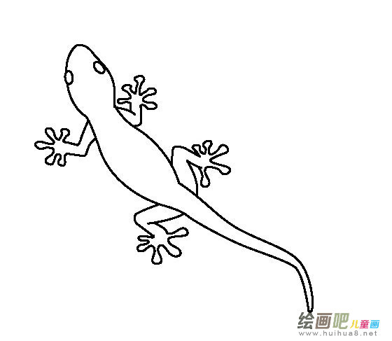小壁虎卡通简笔画