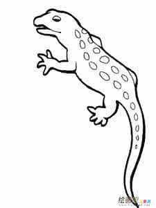 壁虎简笔画大全大图