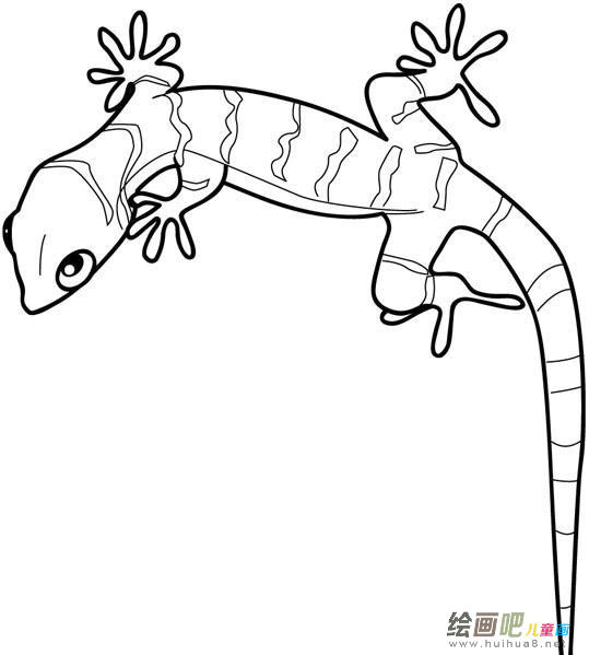 简笔画壁虎画法