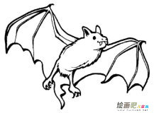 /jianbihua/dongwujianbi/27557.html