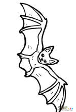 蝙蝠素描图片简笔画