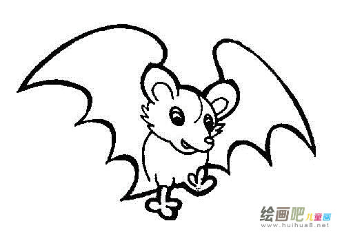 卡通蝙蝠简笔画