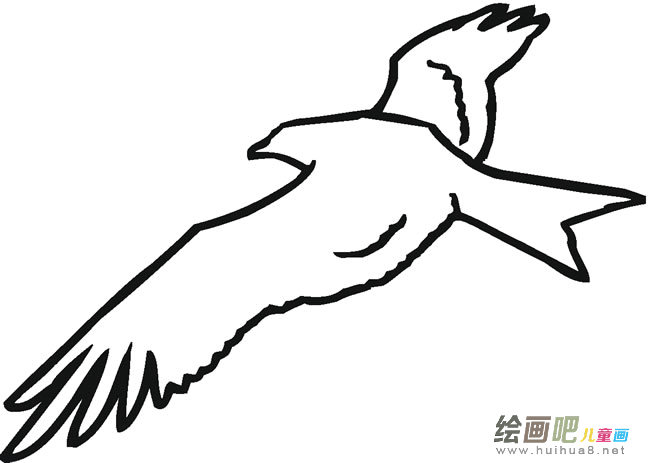 简单的老鹰简笔画