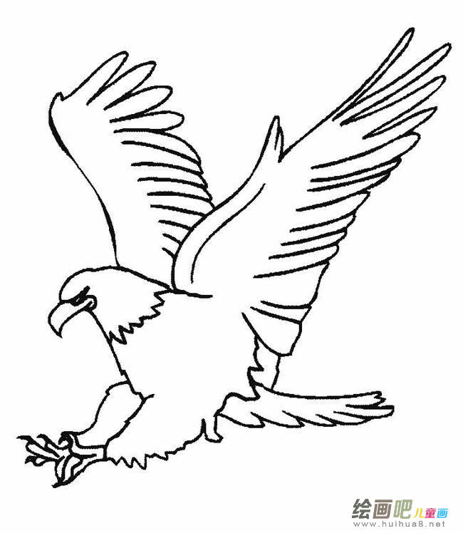 怎么画老鹰简笔画