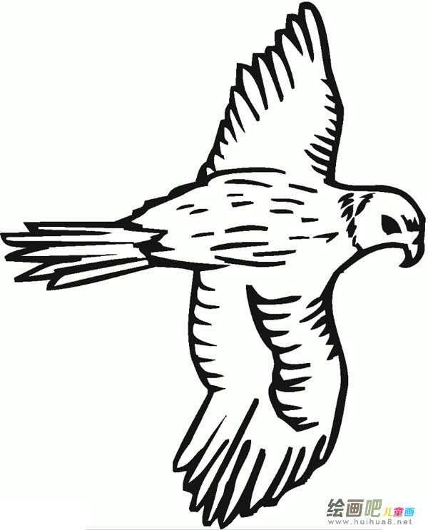 飞翔的老鹰简笔画