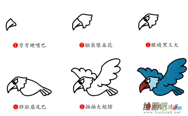 老鹰的图片简笔画步骤