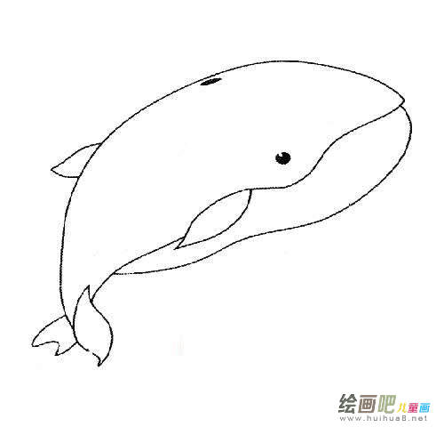 鲸鱼动物简笔画