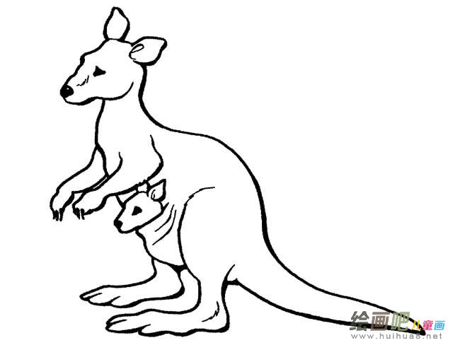 袋鼠装小袋鼠简笔画