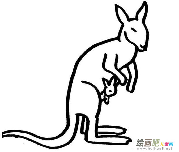 儿童简笔画袋鼠
