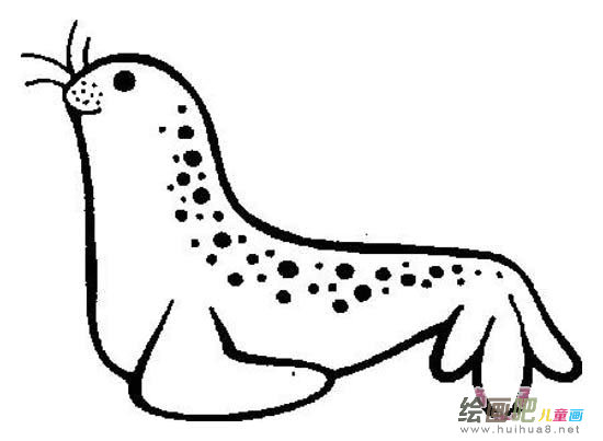 幼儿园海豹简笔画