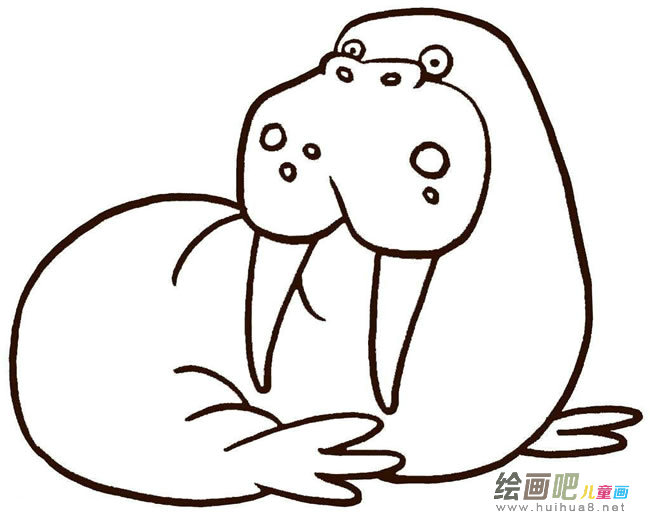 海豹的画法简笔画