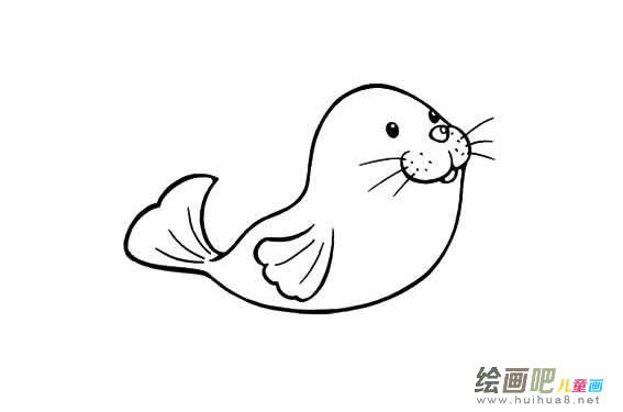卡通海豹图片简笔画