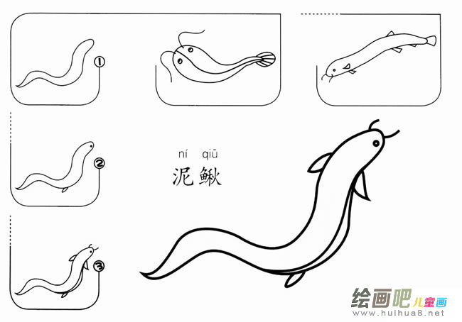 怎么画泥鳅简笔画