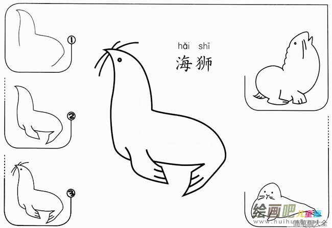 儿童卡通海象海狮简笔画图片