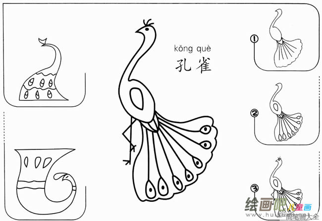 怎么画孔雀简笔画的步骤图教程