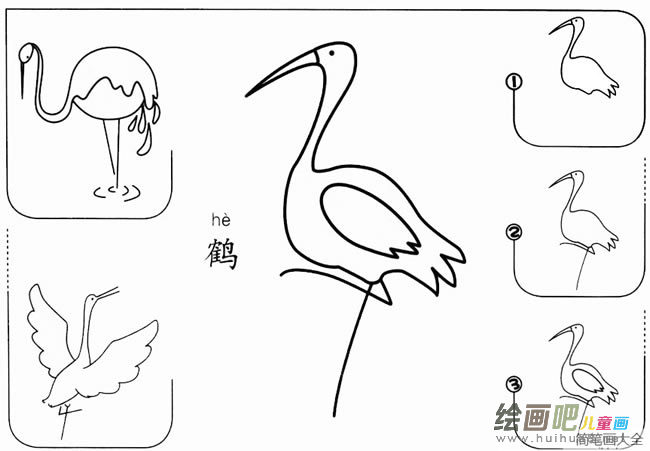幼儿丹顶鹤简笔画的画法步骤图教程