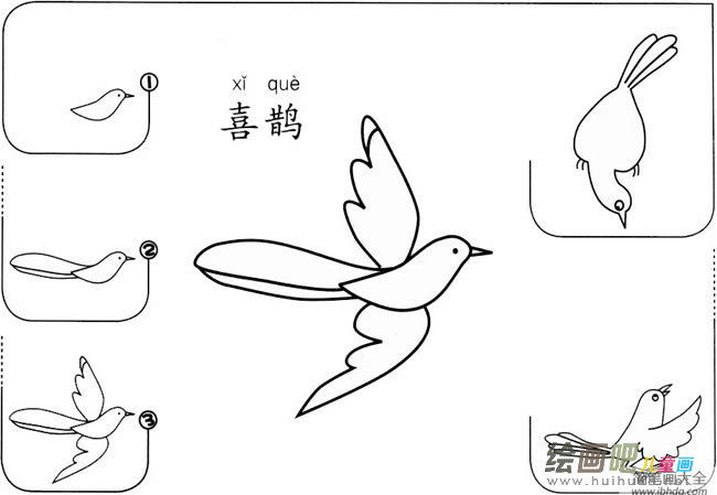 【喜鹊怎么画】幼儿喜鹊的简笔画怎么画