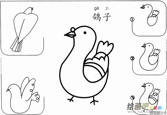 【简单的鸽子怎么画】怎么画鸽子简单步骤图教程