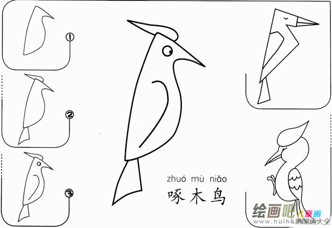 【啄木鸟怎么画】啄木鸟怎么画简笔画步骤图教程