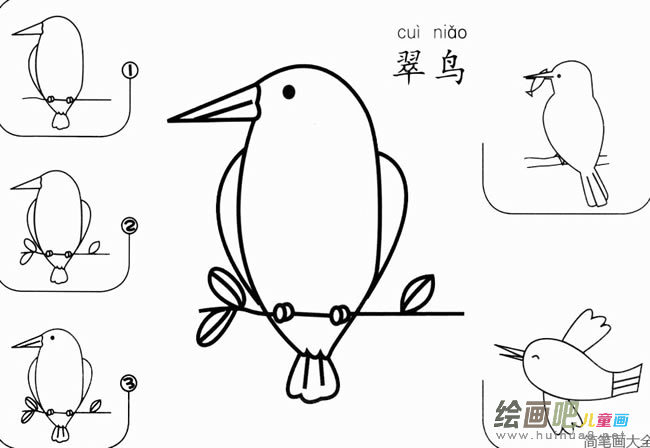 小鸟简笔画 翠鸟怎么画简笔画图片